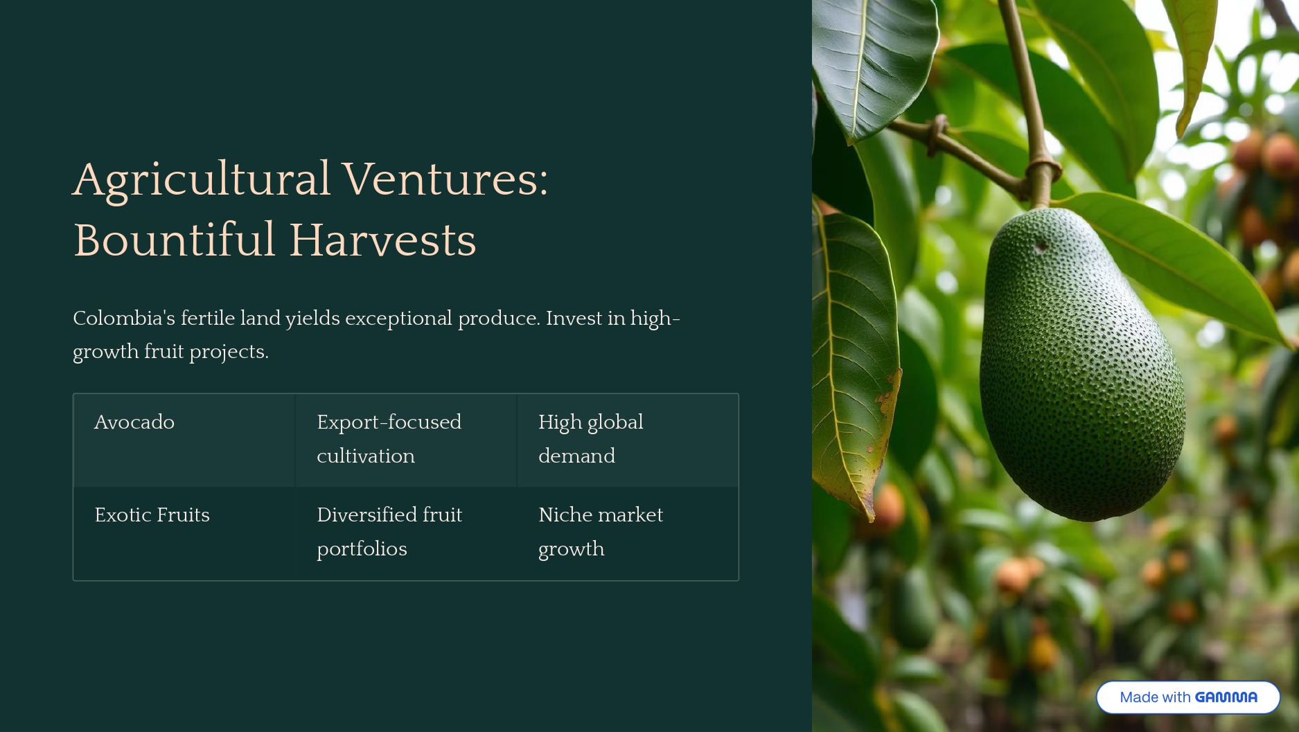 Colombia service pdf_page-6